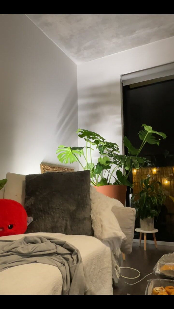 Dani Valentina: Live Stream với Dani Valentina