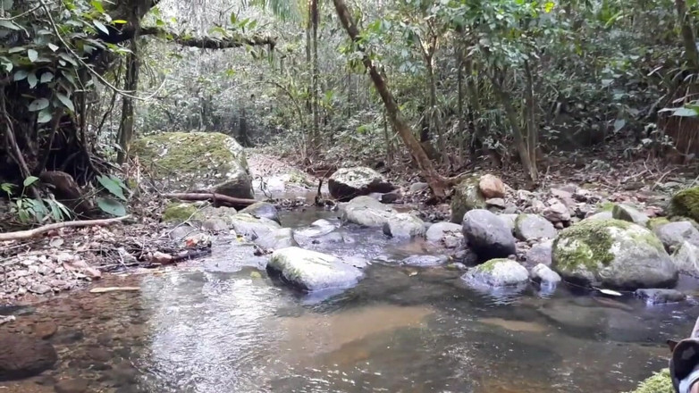 Novinha Insaciavel: Pijpen in de waterval