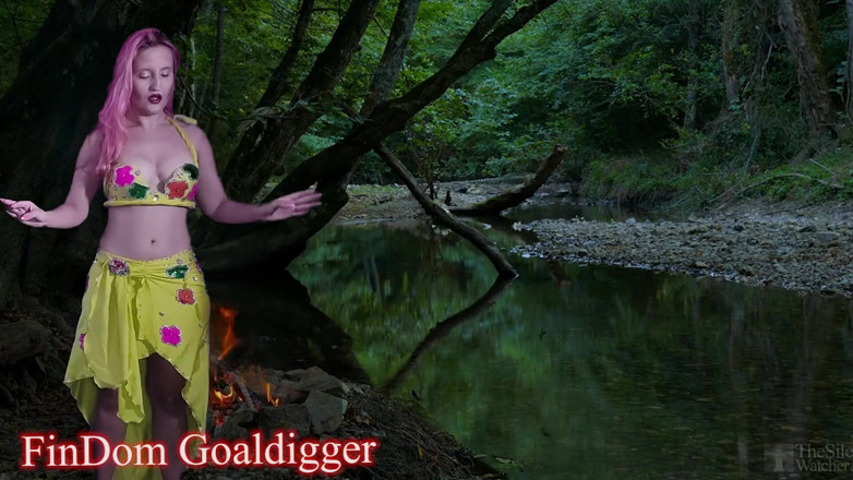 FinDom Goaldigger: Cum control