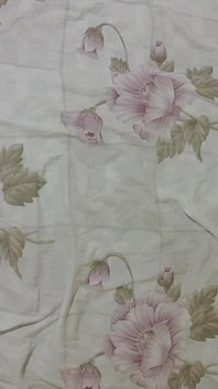 私は今日の正午にモロッコの近所をファックします