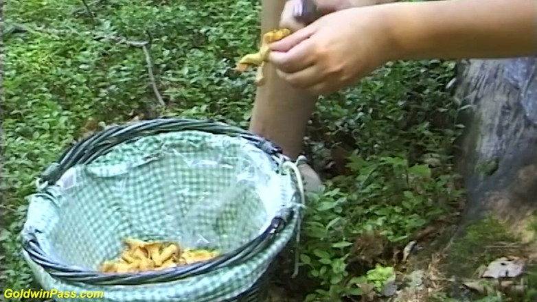 Goldwin pass: Ibu tiri bertetek raksasa berseronok di dalam hutan