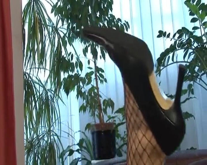 Deutsche XXX Filme: 令人惊讶的德国熟女在她的阴户里享受坚硬的鸡巴