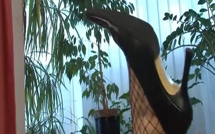 Deutsche XXX Filme: Şaşırtıcı Alman orta yaşlı seksi kadın amında sert yarağın tadını çıkarıyor