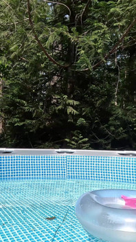 Assistindo a Garota da Piscina