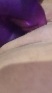 Memek sange