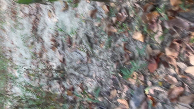 MaxArcane: Šukám ho venku bez kondomu s mým velkým černým pérem