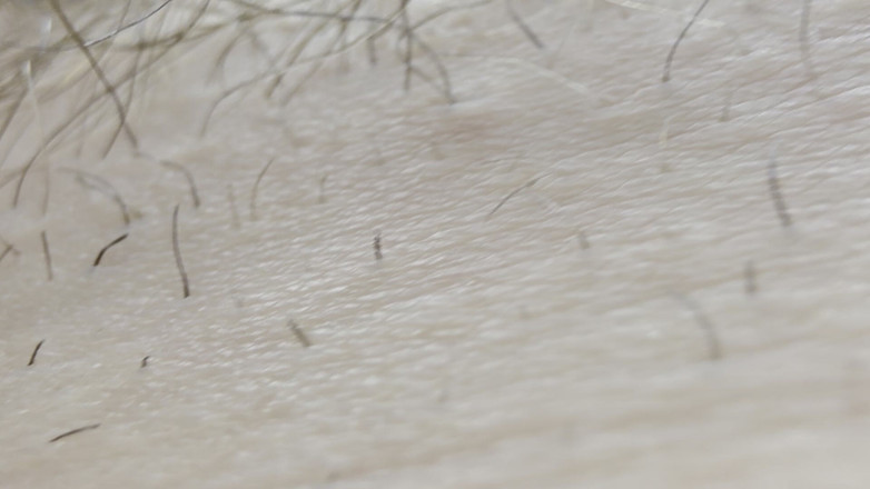 Nalekhome: 내 자지를 빨아