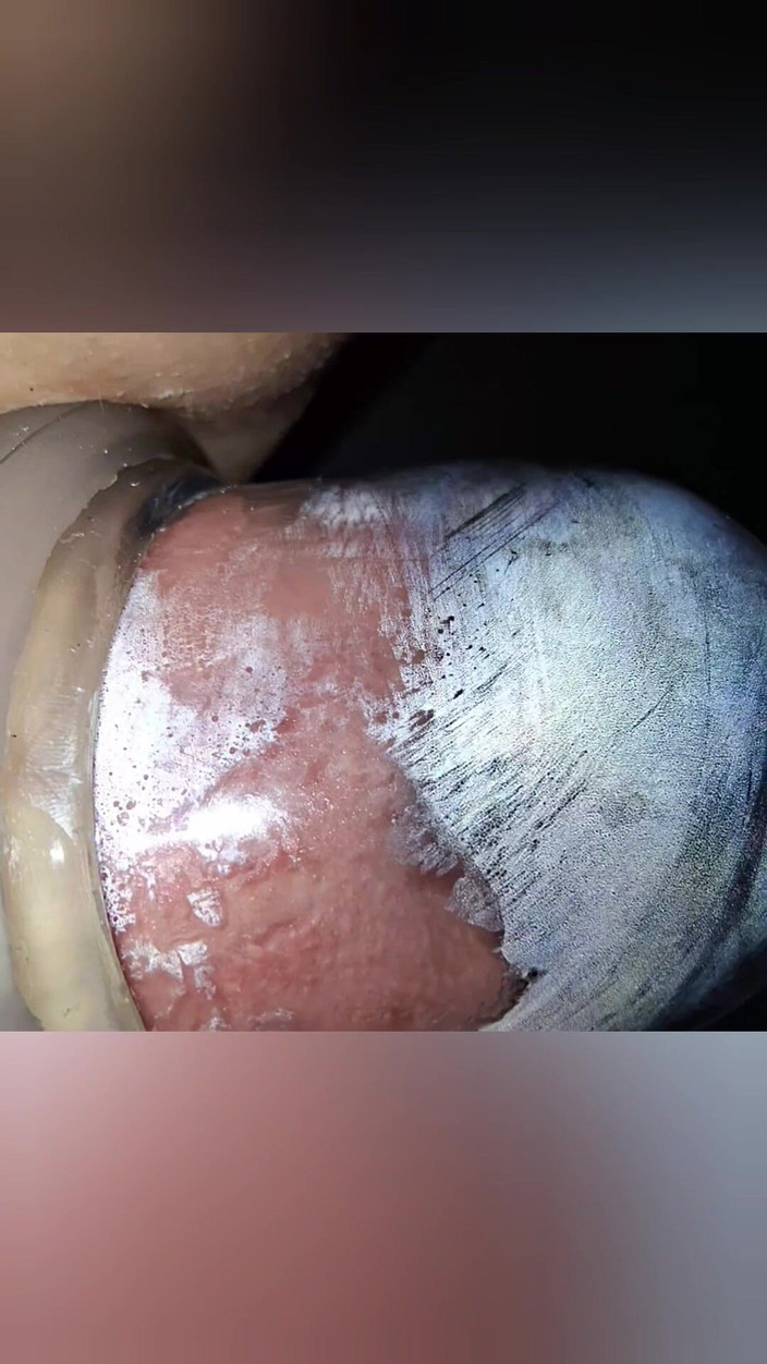 SklavinS_pervert: Hamba mengepam pepeknya semasa menonton TV untuk tuannya! Bahagian 1