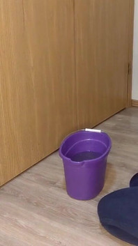 Punggung Reveal Floor melancap