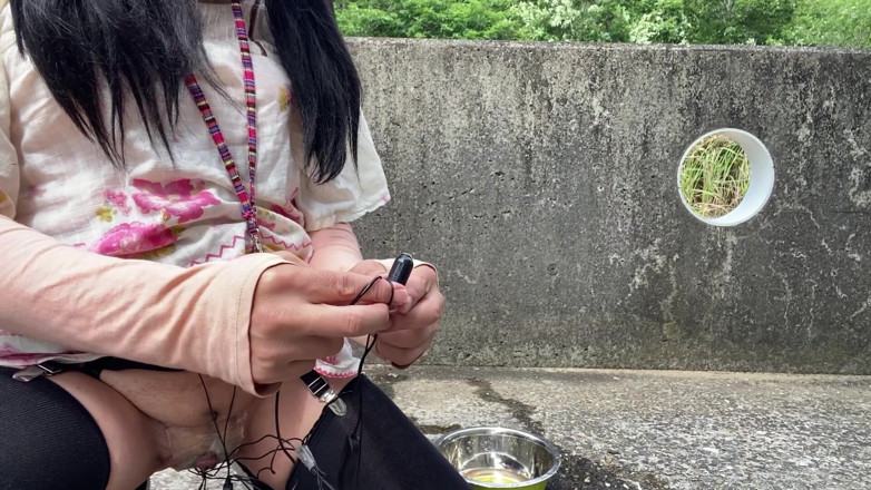 megu2002: N. 252 Pipì a pecorina all'aperto