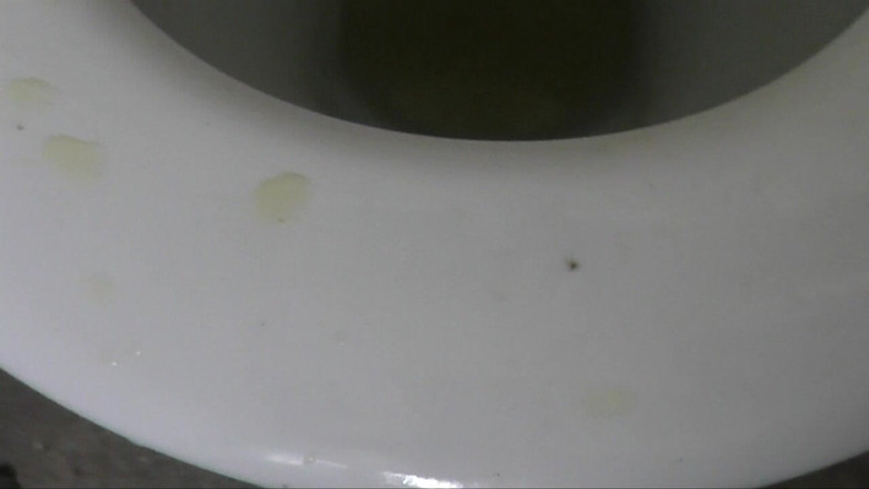 Danielle Maye: Toilet Slave