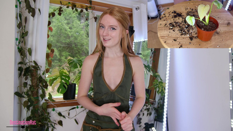 Destination Kat: Berkebun sama kat- ganti baju monsteras sfw