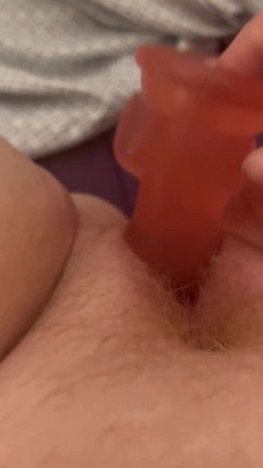 Gingersnap: Pomalu a vyrovnaně