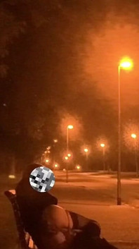 Fucking Myself in a Park with a White Dildo
