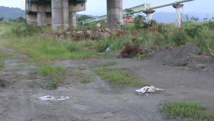 Louswee: Outdoor Solo na Natureza - Vento, Silêncio e Foco