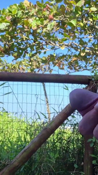 Une Masturbation Risquée Pour Une Bombe Au Parc!