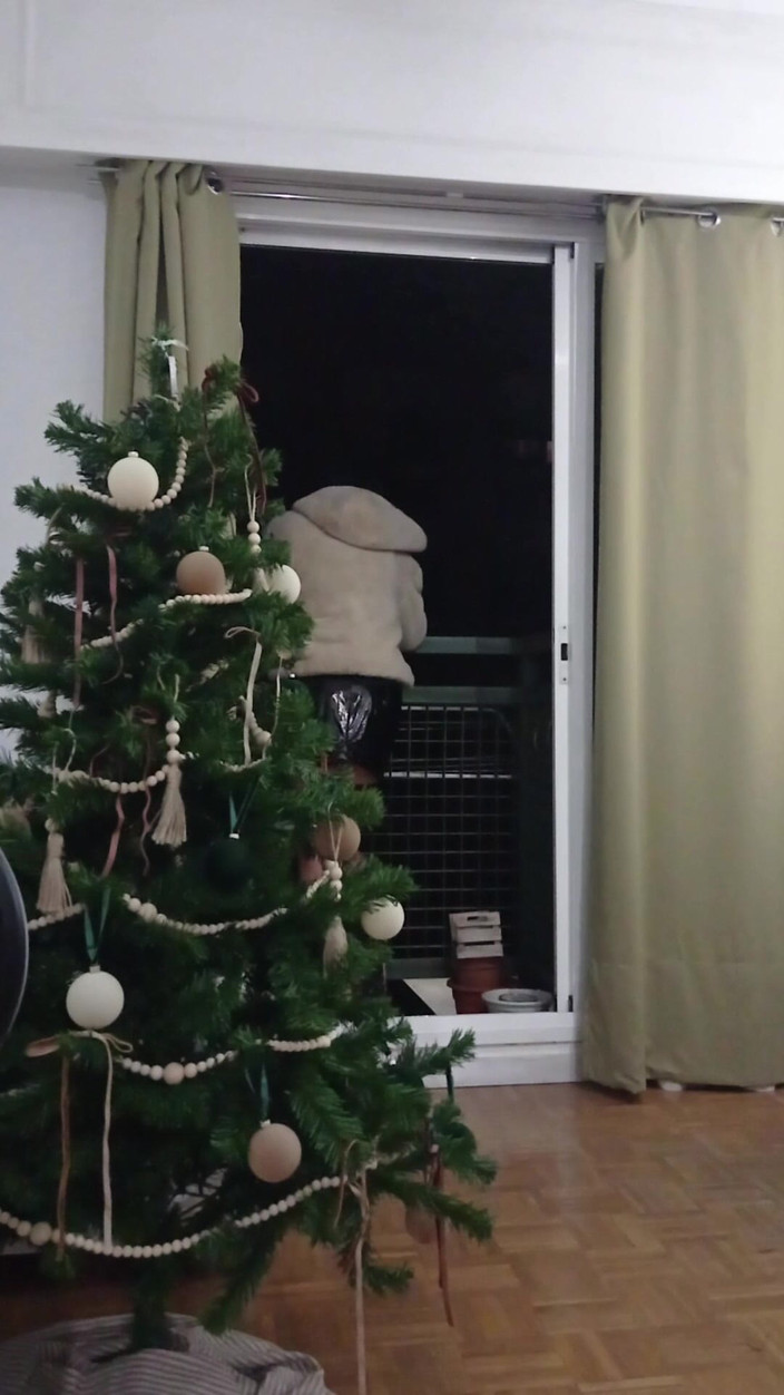 Penelopene27: Travestita esibizionista