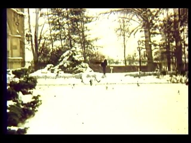 GERMAN PORN CLASSICS: Club 66 herzog Video