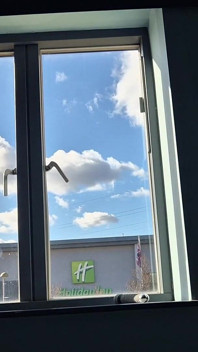 Bambi à la fenêtre