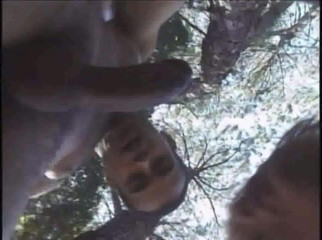 Shemale videos: Transe mit großem buch im wald gefickt
