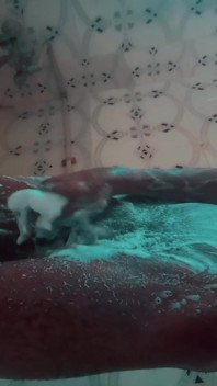 Early Morning Bath