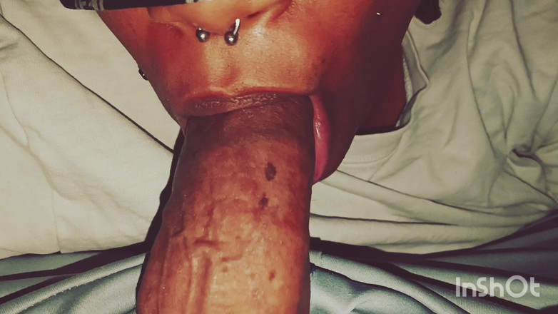 The Nasty House: スロー・ディック崇拝 アップクローズ