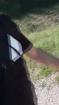 Freeballing Twink umblă fără lenjerie intimă, își scoate pula moale din pantalonii lui scurți foarte scurți în aer liber