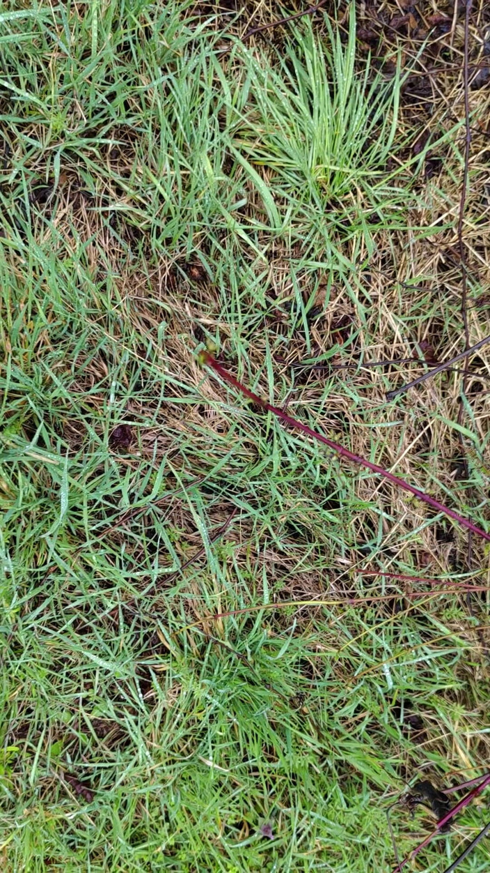 Bayer911: Outdoor-pisse im regen