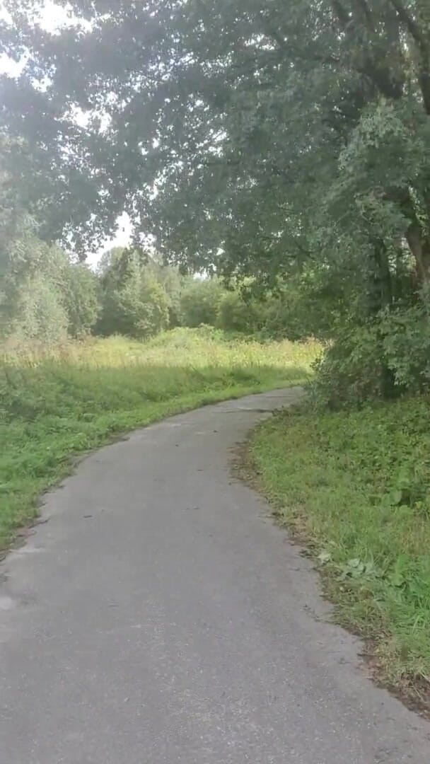 Slutboyben: Slutboyben cam4 сексуальний крейсерська краля вуайєрист ексгібіціоніст