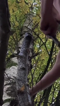 Divertimento anale con branch of tree nella foresta