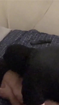 Dari Hari-hari Awal! blowjob untuk Geoff