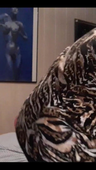 Fat People Like to Pop Balloons.