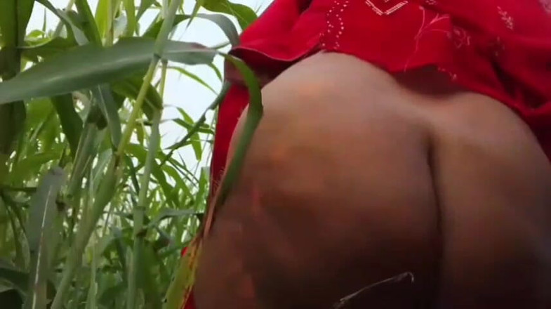 Abida pavreen: Jungle Me Mangal Kahani Sex