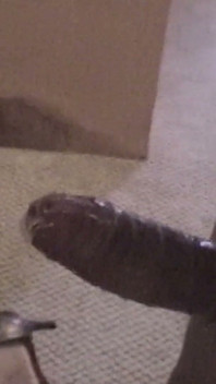 The Wife Needed a Thicker Cock