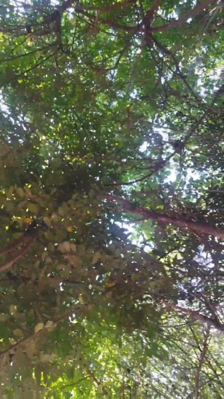 Kitty_Cross: 谁说男孩不能性感？