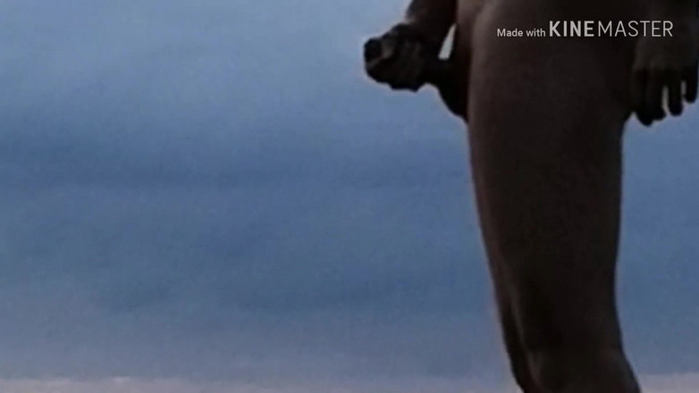 Wanker forever: Masturbează-te pe plaja de nudiști. Gara Riga Jurmala. Expune