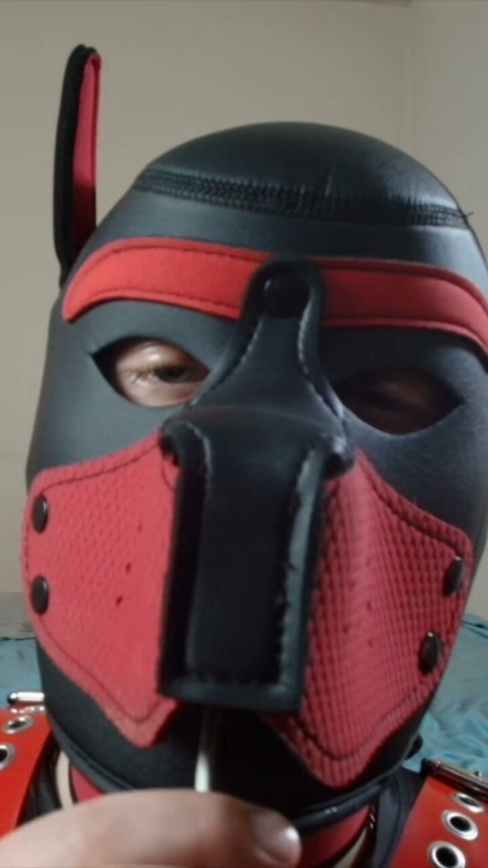 Alex GoodBoy: Pup Sucks His Lollipop up Close