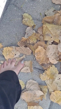 Sexy Bare Feet Crunching Dry Leaves