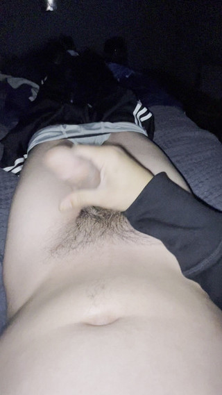 crazyforyou6: Nový rok honění