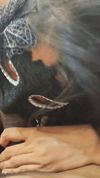 Sudut pandangan pertama adik tiri desi India blowjob melampau sehingga dia merayu untuk pancutan mani