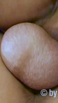 Two Hard Cocks for Jasmin (part One)