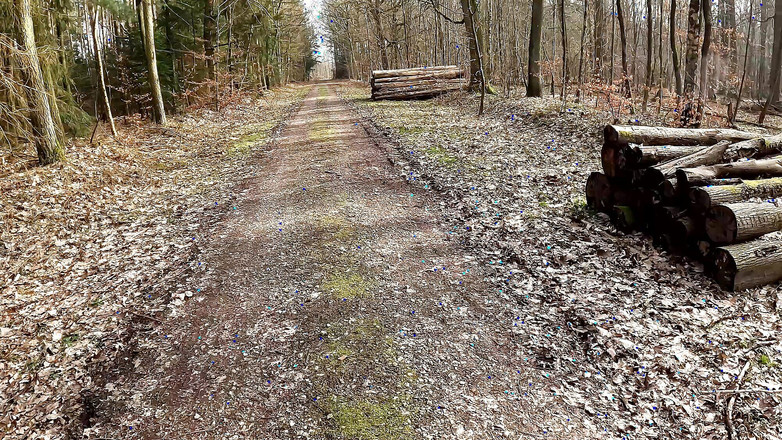 Bouncy Tits Action: जंगल में चूत को थप्पड़ मारने के लिए पैंट उतारो