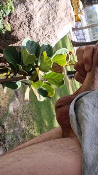 Pamer kontol di pantai umum