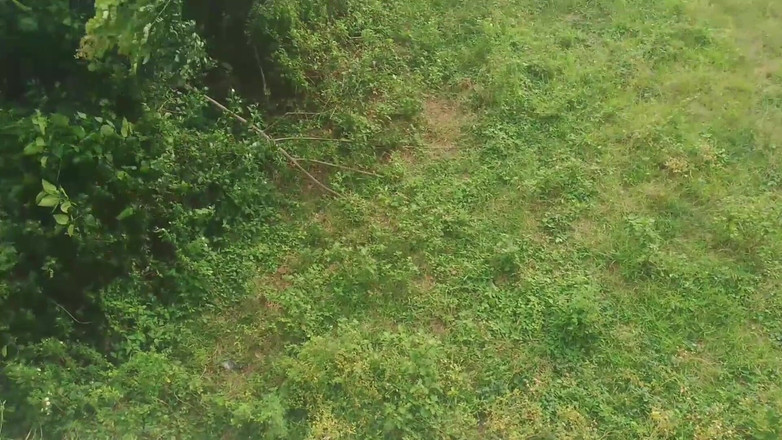 Sex naija 1: 如果你认为 pron 是一件容易的工作，来试试看