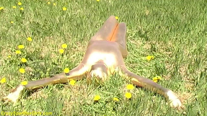 Fetish Islands: Sexy ebony babe in skintight golden spandex catsuit posing outdoor