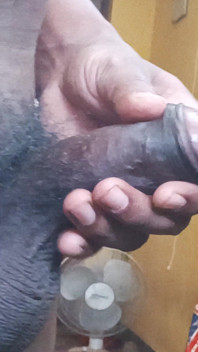 Village Desi Penis