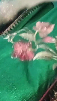 Indische homo travestiet Gaurisissy drukt zo hard op zijn borsten en geniet in groene saree