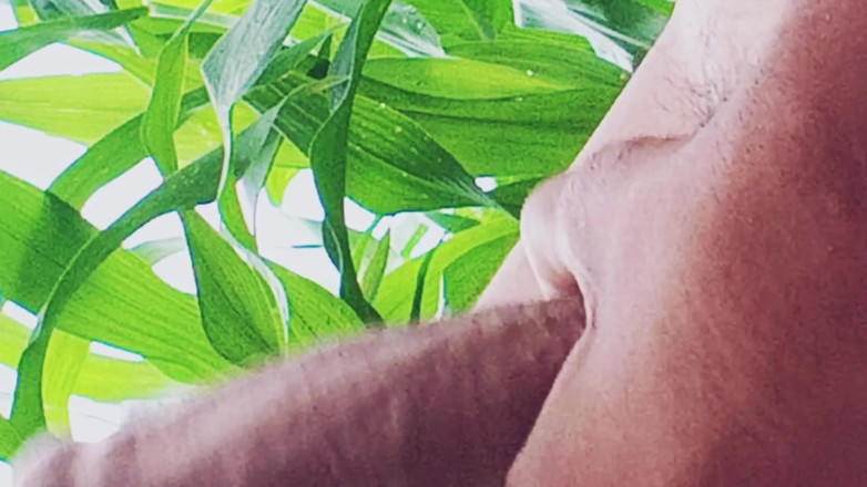 rkhydzstvcc: Världsomspännande trender desi hunk solo action del 8 - premium ansiktslös amatör...