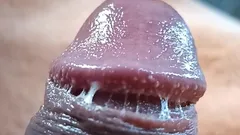 Precum Foreskinuncut