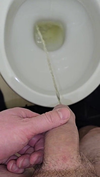 Pissing to the Toilet